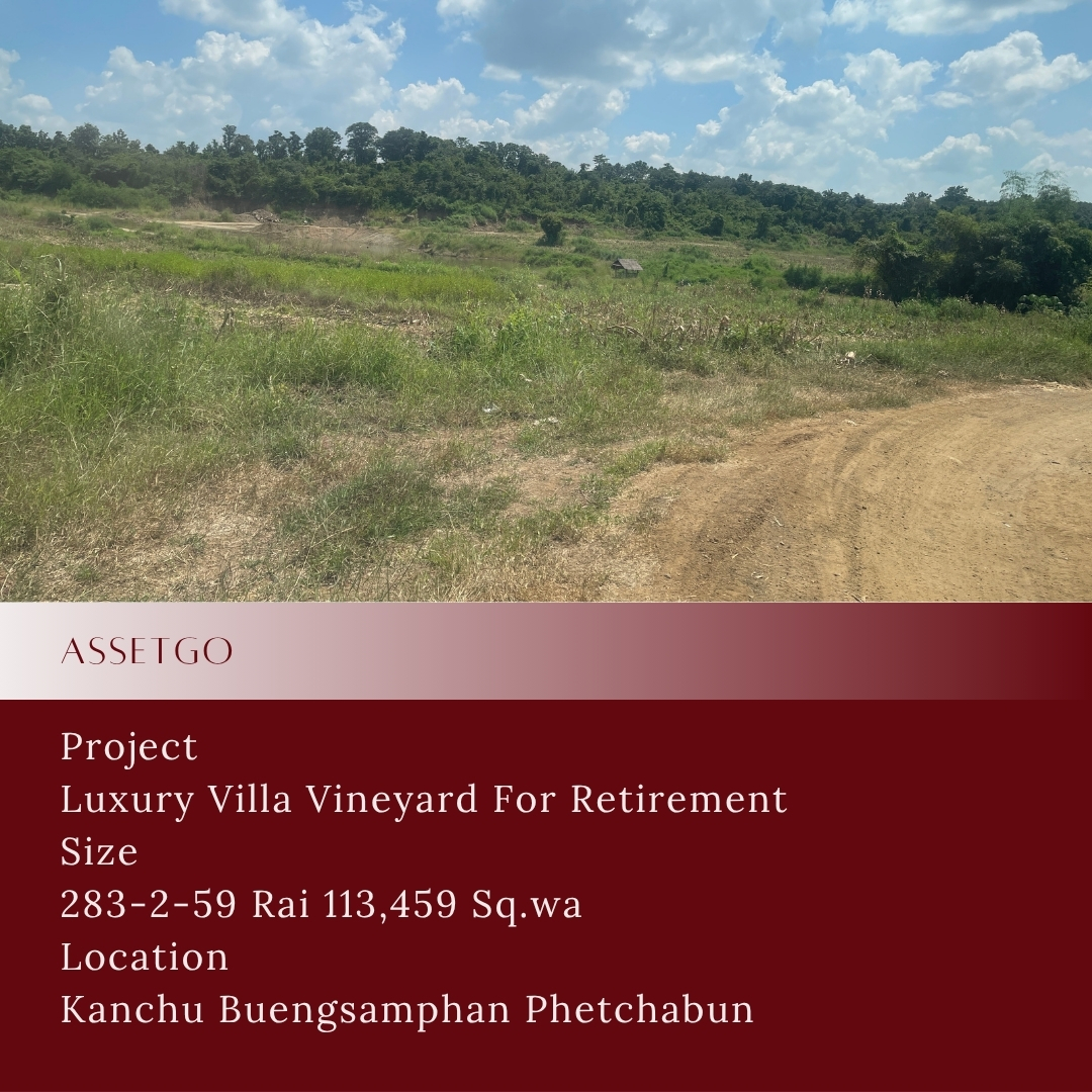 Buildable Land Plot in Phetchabun